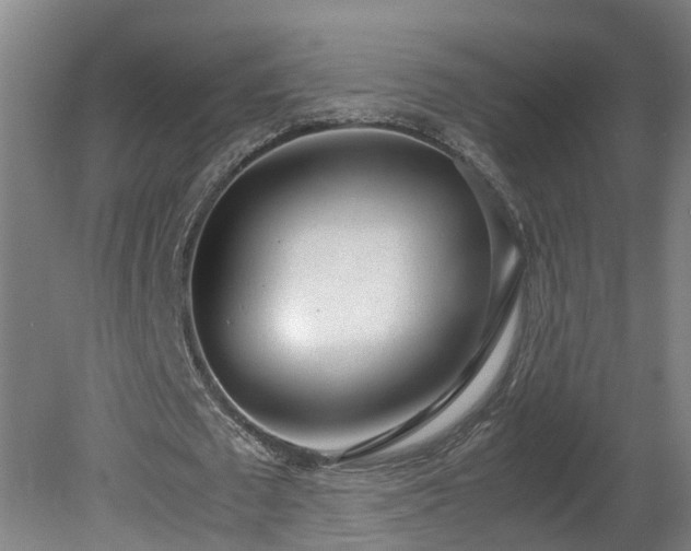 X0000081270673200701181718