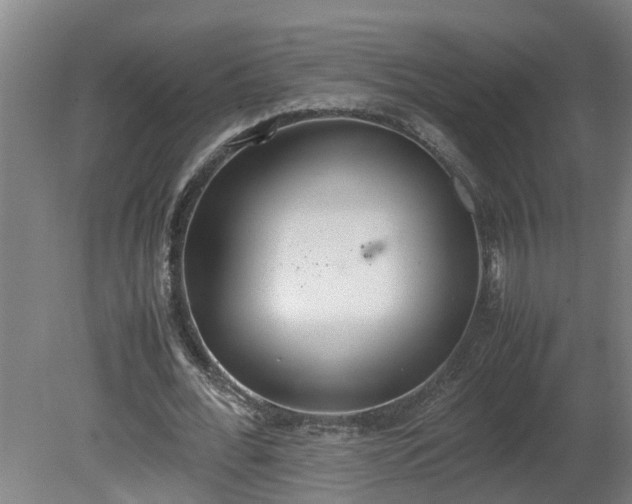 X0000081270676200701181717