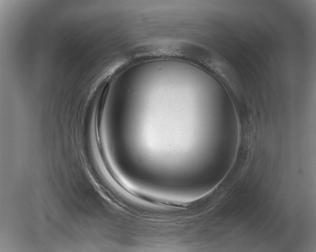 X0000081270677200701181717