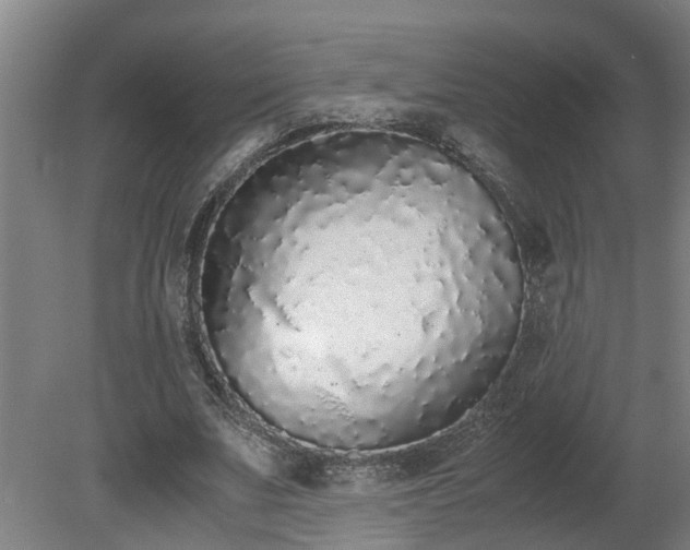 X0000081270679200701181717