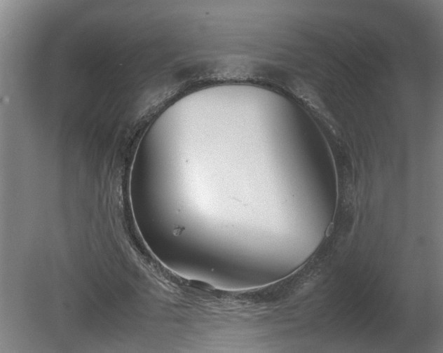 X0000081270681200701181717