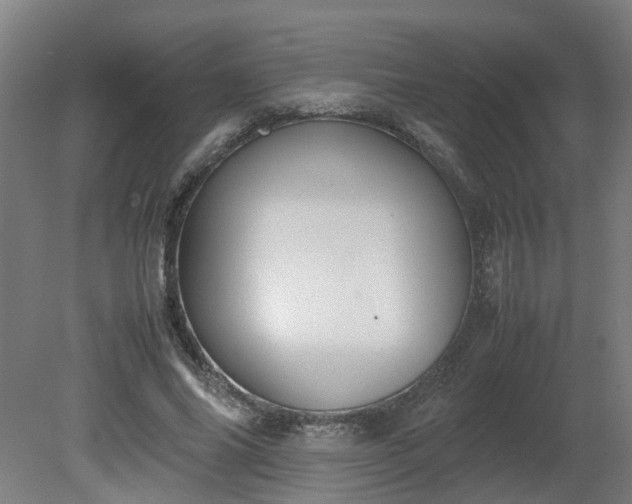 X0000081270686200701181717
