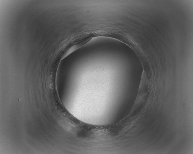 X0000081270689200701181717