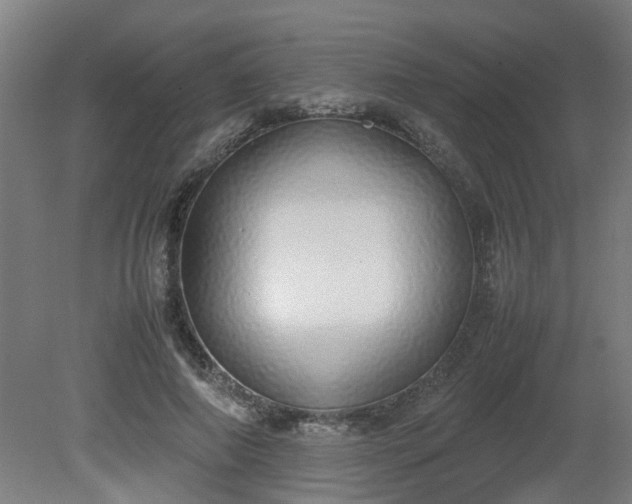 X0000081270690200701181717