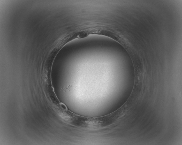 X0000081270693200701181717