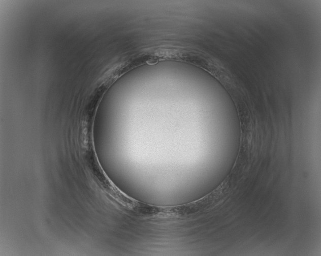 X0000081270696200701181717