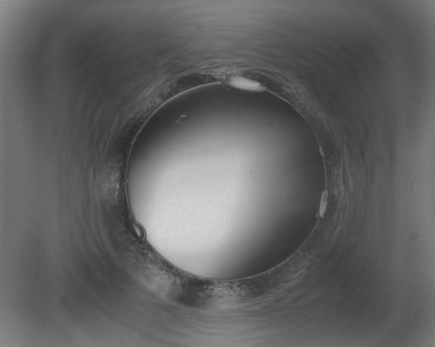X0000081270697200701181717