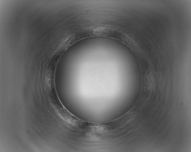 X0000081270698200701181717