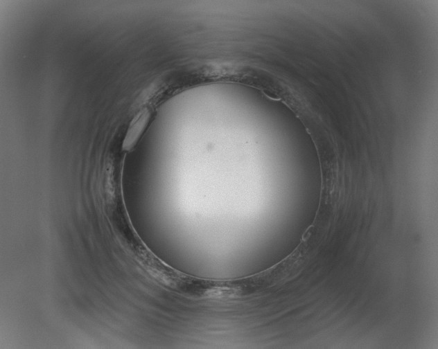 X0000081270700200701181717