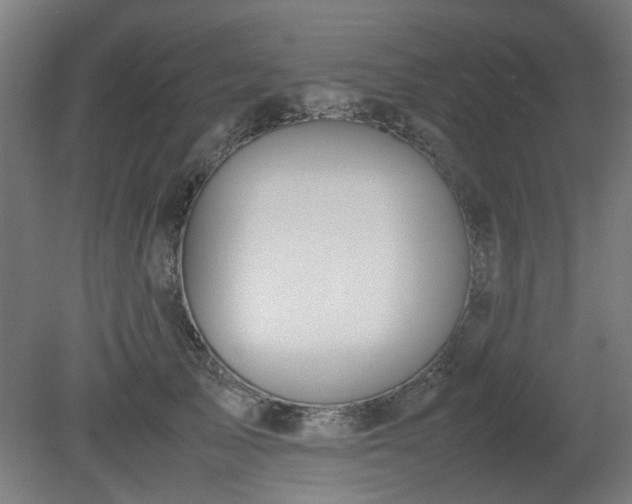 X0000081270705200701181717