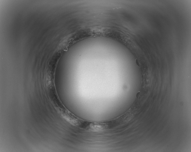 X0000081270706200701181717