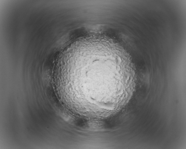 X0000081270707200701181717