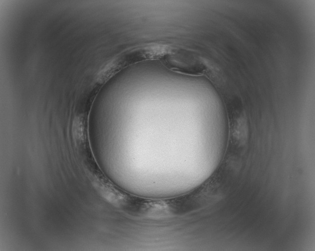 X0000081270715200701181717