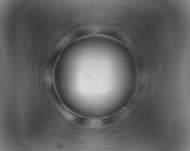 X0000081270719200701181717