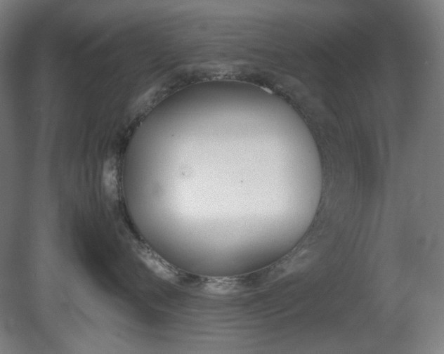 X0000081270720200701181717