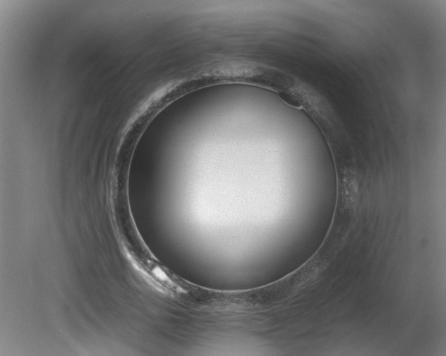 X0000081270726200701181716