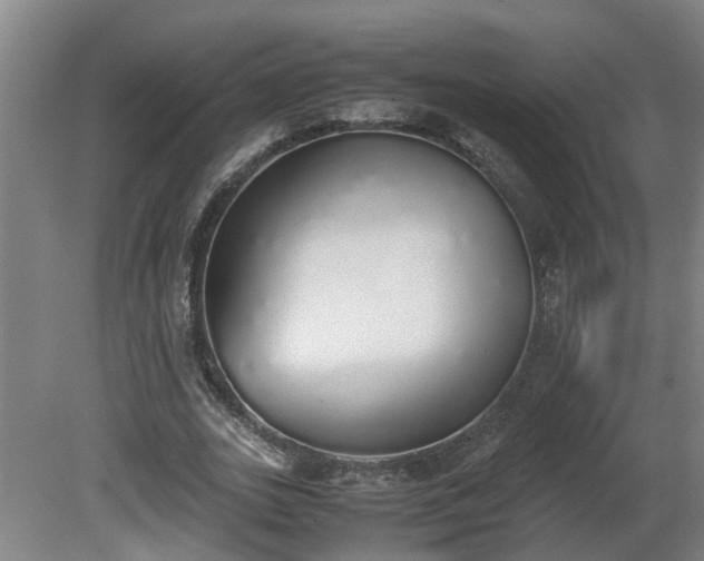 X0000081270727200701181716