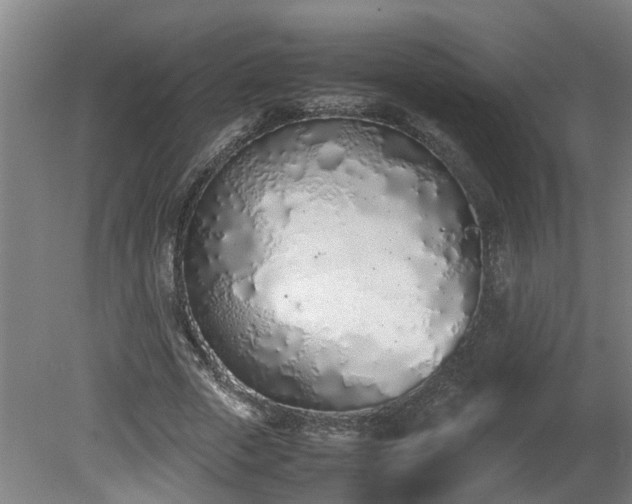 X0000081270729200701181716