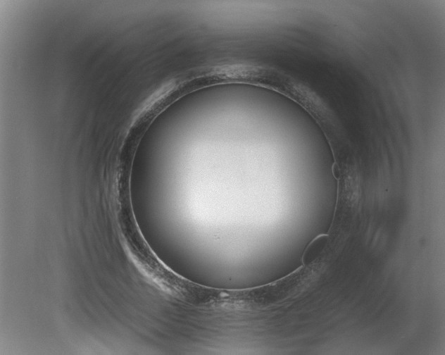 X0000081270730200701181716