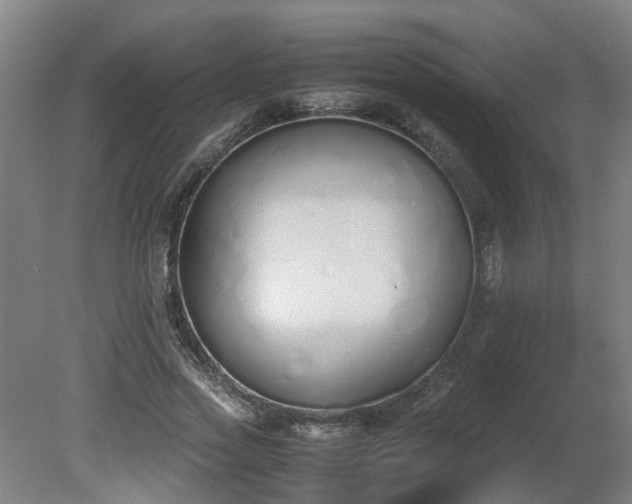 X0000081270733200701181716
