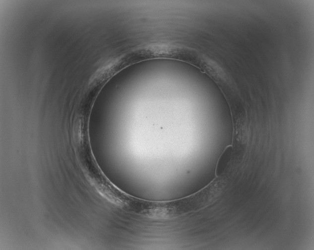 X0000081270740200701181716