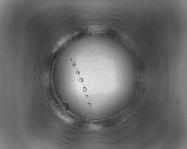 X0000081270741200701181716