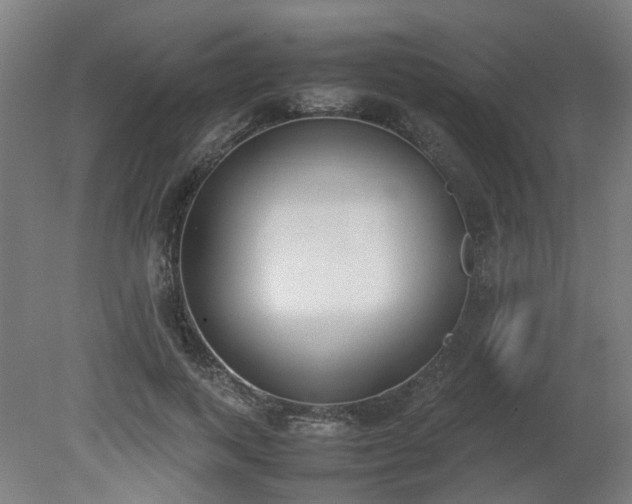 X0000081270743200701181716