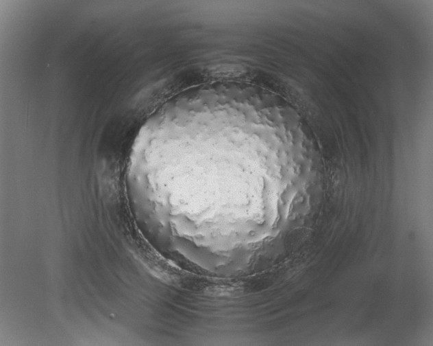 X0000081270745200701181716