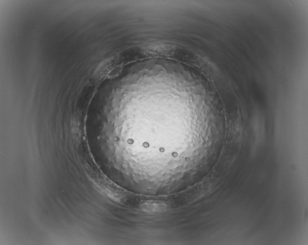 X0000081270749200701181716