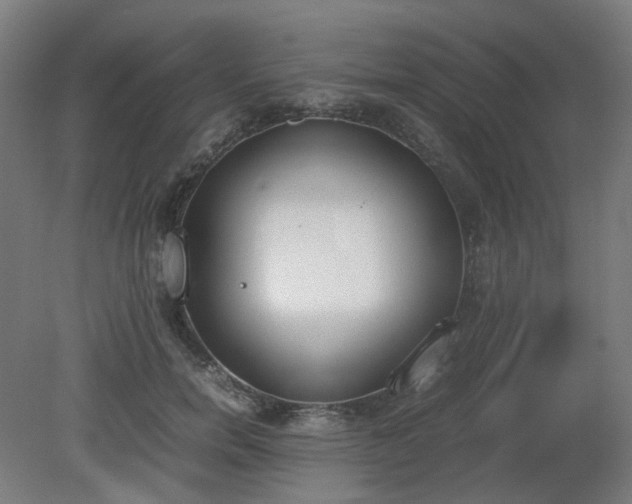 X0000081270750200701181716