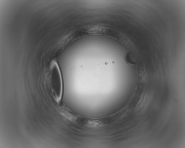 X0000081270753200701181716