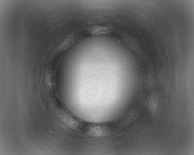X0000081270755200701181716