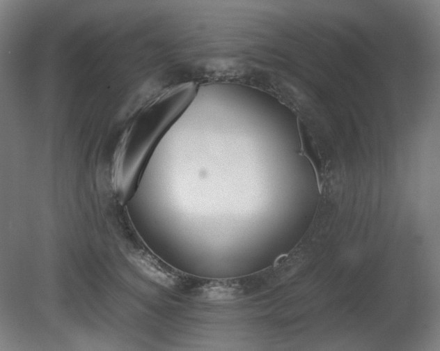 X0000081270756200701181716