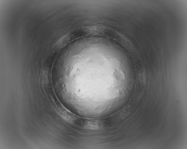 X0000081270757200701181717