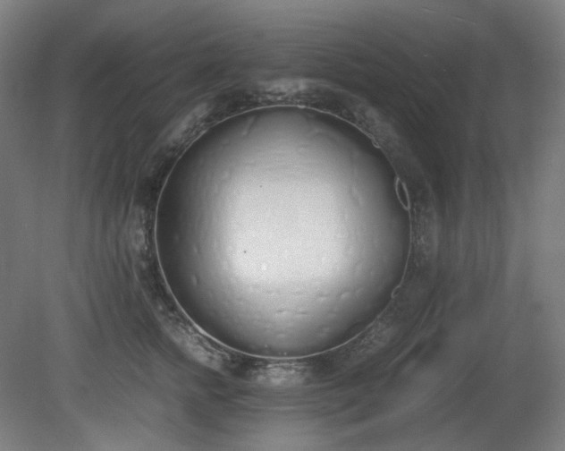 X0000081270758200701181717
