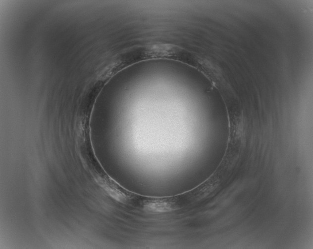 X0000081270759200701181717