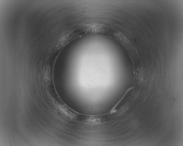 X0000081270760200701181717
