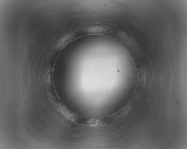 X0000081270762200701181717