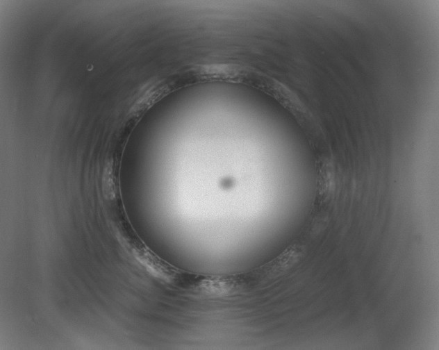 X0000081270764200701181717