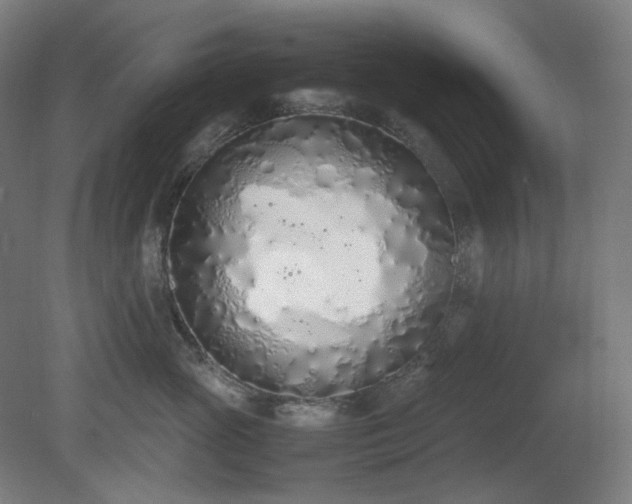 X0000081270765200701181717