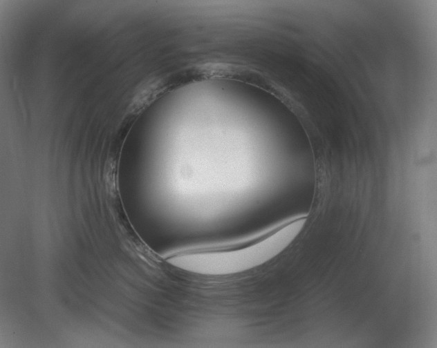X0000081270766200701181717