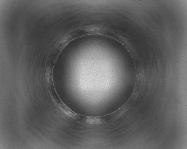 X0000081270767200701181717