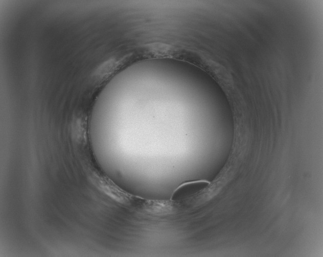 X0000081270768200701181717