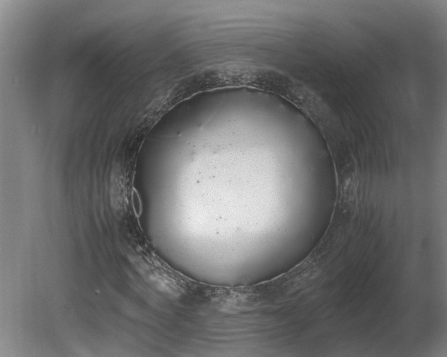 X0000081270772200701181716