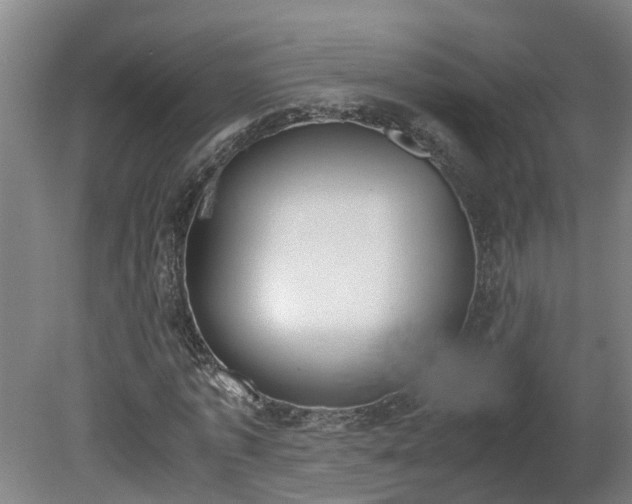 X0000081270773200701181716