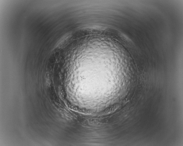 X0000081270774200701181716