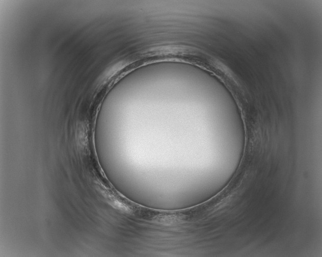 X0000081270778200701181716