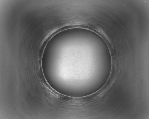 X0000081270781200701181716