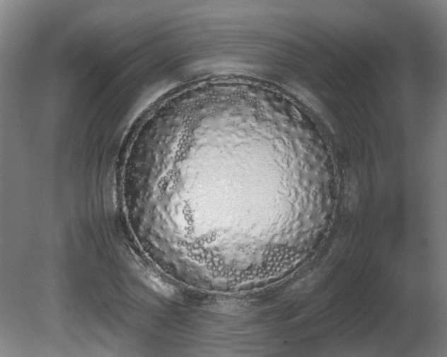 X0000081270782200701181716
