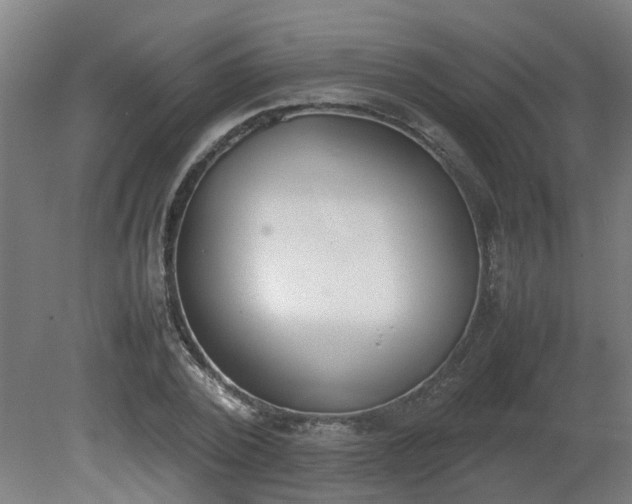 X0000081270784200701181716